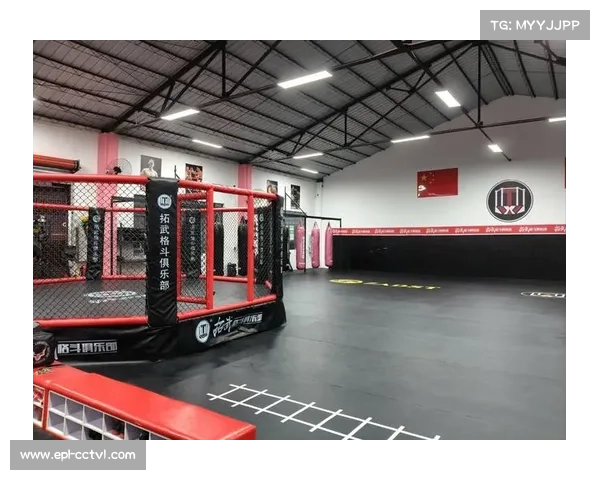 MMA纪录片与播客流行，推动格斗文化深入大众